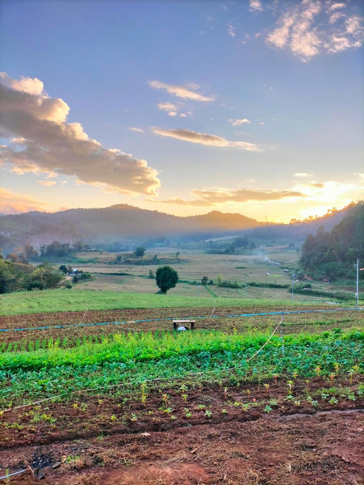 สวนไร่รุ่งอรุณ Suan Rai Rungarun Hotel Ban Na Pa Paek Kültér fotó